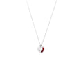 COLLAR DOBLE PLACA ROJO